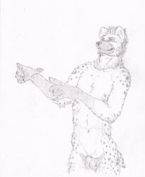 anthro balls black_and_white claws flaccid fur furry hyena male male_only monochrome nipples no_humans nude open_mouth penis plain_background pointing semiotica sheath solo