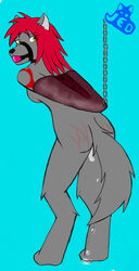 anthro arm_blinder ball_gag bondage bound breasts canine chains female fur furry herseio pussy_juice whips wolfess