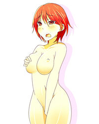 beige_skin blush breast_grab breasts brown_eyes color digimon digimon_savers female female_only fujieda_yoshino hair human masturbation nipples nude open_eyes open_mouth red_hair round_ears short_hair solo standing