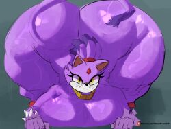 blaze the cat from sonic (series) by adawndraws
