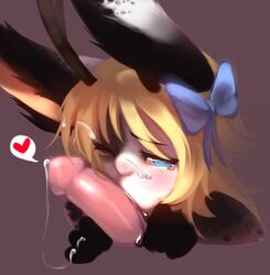 after_sex allen_myriad anthro antlers blonde_hair blue_eyes bow cum fellatio fur furry girly hair horn itragedy jackalope kanel lagomorph lapine male oral oral_sex rabbit saliva sex tear