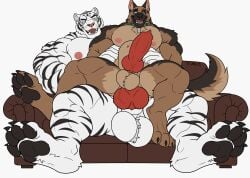 abdominal_bulge absurd_res anal animal_genitalia animal_penis anthro ball_tuft balls biceps big_balls big_muscles big_penis black_body black_fur black_stripes brown_body brown_fur brutus_(pixie_and_brutus) canid canine canine_genitalia canine_penis canis chest_tuft claws collar deep_penetration digitigrade domestic_dog dominant duo erection eye_scar facial_scar fangs felid feline felis fucked_silly fur furniture genitals german_shepherd herding_dog hi_res hip_grab huge_balls huge_muscles huge_penis interspecies knot large_paws large_penetration larger_dom male male/male male_penetrating mammal markings muscular name_tag navel nipples nude open_mouth pantherine pastoral_dog pawpads pecs penetration penile penile_penetration penis pixie_and_brutus scar sex sharp_teeth simple_background size_difference smile sofa stripes tail tan_body tan_fur teeth tiger tongue tuft whiskers white_body white_fur xyandrith