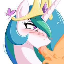 2012 alicorn blush crown equine erection fellatio fellatio_from_feral female friendship_is_magic hair horn horse human_on_feral interspecies long_hair male male_human/female_feral male_on_feral multicolored_hair my_little_pony no-ink oral oral_sex penis pony princess_celestia_(mlp) purple_eyes sex tongue wings zoophilia