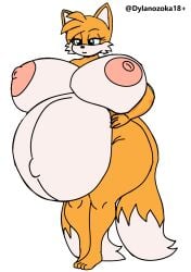 tails the fox from sonic (series) by dylanozoka18