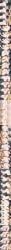 1boy 1girl ahe_gao ahegao anal anal_sex anna_nishikinomiya ass asshole bokuman breasts completely_nude completely_nude_female different_angle different_poses eyes_closed fellatio female female_focus female_penetrated imminent_anal imminent_oral imminent_sex licking_lips long_image looking_at_another male male/female male_penetrating male_penetrating_female naked naked_female nude nude_female open_mouth oral penis penis_in_pussy pussy sex shimoneta_to_iu_gainen_ga_sonzai_shinai_taikutsu_na_sekai short_hair solo solo_female solo_focus spread_legs vaginal vaginal_penetration vaginal_sex waifuhub