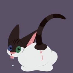 andromorph animated anus big_ears bodily_fluids cricket_(m1lkb4rk) domestic_cat drool_pool drooling fan_character felid feline felis feral forked_tongue heart_pupils heterochromia hi_res intersex looking_back m1lkb4rk male mammal saliva solo tail tail_motion tailwag tongue trans_(lore) trans_man_(lore) warriors_(book_series) x_anus