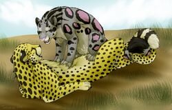 anthro anthro_on_feral cheetah cum feline female feral leopard male nude sex straight toradoshi whiskers