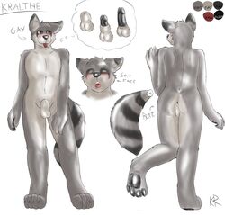 anthro anus ass balls beige_fur black_penis blush grey_fur kralthe male male_only model_sheet penis raccoon red_eyes sheath solo tongue