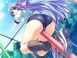 akaza ass bloomers brown_eyes buruma cameltoe character_request climbing from_below game_cg gym_uniform henshin henshin!!!_~pantsu_ni_natte_kunkun_peropero~ henshin_3 long_hair looking_back panties pole ponytail purple_hair ribbon tied_hair tsukishiro_kagura underwear very_long_hair