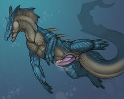 anus lagiacrus leviathan male male_only monster_hunter penis solo tojo_the_thief underwater video_games