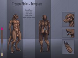 1boy 2017 abs big_testicles brown_scales eliana-asato grey_penis grey_tongue male male_only model_sheet nipples nude original_character penis pink_eyes scales scalie solo testicles text tongue trenco uncut