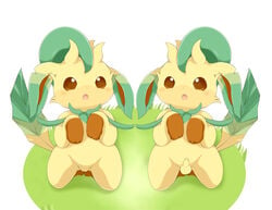 balls begging couple eeveelution female foreskin generation_4_pokemon kneeling leafeon looking_at_viewer male nintendo nude penis pokemon pokemon_(species) pussy schnecken uncut