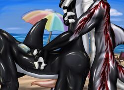 anal ass avilon beach cetacean dolphin erection gay male marine orca penetration penis seaside