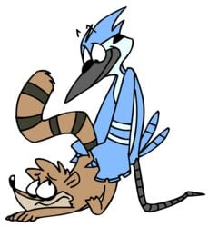 anal anal_sex animated blue_jay doggy_style from_behind funny furry furry_only gay kneeling male mordecai multiple_males open_mouth penetration raccoon raised_tail regular_show rigby yaoi