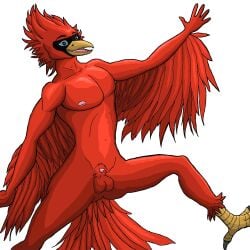 anthro avian avian_feet balls beak bird cardinal_(bird) digital_media_(artwork) feathers genitals hi_res male nipples nude nude_anthro nude_male oscine passerine penis red_body solo tail tail_feathers tasteful triadfox wings