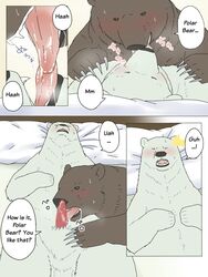 brown_fur claws english_text feral furry grizzly_bear male penis polar_bear shirokuma_cafe tagme ursine white_fur