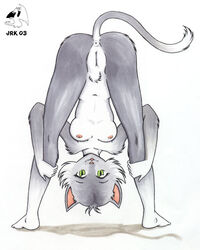 2012 anthro anus bent_over breasts feline female fur furry grey_fur looking_between_legs nude pubic_hair pussy raised_tail risingdragon solo