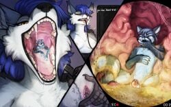 16:10 acidic ailurid anthro black_nose blue_body blue_eyes blue_fur blue_hair bodily_fluids canid canine chastity_cage chastity_device cheek_tuft closed_eyes cutaway disgust drooling duo electronics endoscope facial_tuft female female_anthro female_pred front_view fur genitals glistening glistening_eyes grey_body grey_fur hair hi_res humanoid_genitalia humanoid_vulva in_mouth inside inside_stomach male male_anthro male_prey mammal masturbation monitor mouth_shot narrowed_eyes nipples nude open_mouth oral_vore orange_eyes pussy red_panda saliva saliva_string short_hair spread_legs spreading stomach_acid tuft vaginal_masturbation vaginal_penetration vomiting vore vulva wearing_chastity_cage wearing_chastity_device white_body white_fur widescreen
