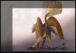 2012 anus avian brown_feathers female feral gryphon looking_back presenting pussy raised_tail tuke wings