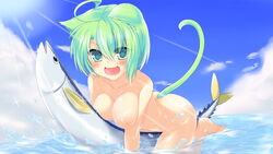 animal animal_ear breasts calendar catgirl dodome_(sharon) fish green_eyes green_hair nipples nude original summer tail water