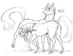 dr_comet female horse humanoid tagme