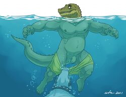 2011 anthro balls belly biceps black_hair canine chubby claws clothing collar crocodile fur hair hindpaw husky langdon male male_only muscles nipples nude paws pecs penis pulling reptile scalie simple_background spikes swimming swimsuit teeth underwater undressing water wet wfa