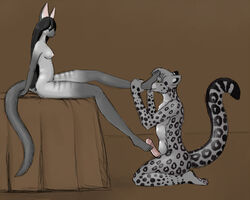 anthro feline female fur furry hindpaw leopard licking male pawfeet paws siamese snow_leopard straight toes tongue worship