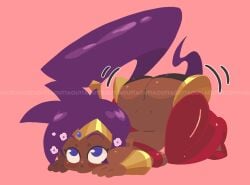 Shantae (Character) Rule 34 Image
