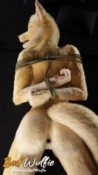 3d_(artwork) 9:16 anthro anus arms_tied ass bangs biped black_nose blender_(artwork) blender_cycles bondage bondage bound breasts canid canine claire_(red_wulfie) claws digital_media_(artwork) digitigrade duo eyebrows female female_anthro fluffy fox fur genitals hair hands_tied hi_res male male/female male_anthro mammal nude open_mouth orange_body orange_fur pawpads paws penile penis pussy realistic red_fox red_wulfie restraints sex simple_background submissive true_fox watermark white_body white_fur