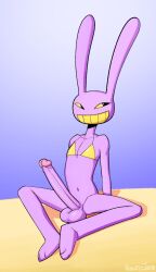 2024 anthro balls big_penis bikini bikini_top black_eyes clothing erection fur genitals glitch_productions hi_res humanoid jax_(the_amazing_digital_circus) lagomorph lapinbeau long_penis male male_focus male_only mammal penis purple_body purple_fur rabbit_ears signature simple_background smile solo swimwear the_amazing_digital_circus yellow_sclera