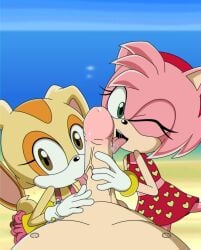 1boy 2girls age_difference amy_rose anthro big_dick cream_the_rabbit cub female female_on_human hedgehog human human_on_anthro lagomorph licking_penis male male/female male_on_anthro mobian_(species) one-piece_swimsuit oral penis rabbit rodent sonic_(series) sonic_the_hedgehog_(series) sonic_x swimsuit threesome young younger_female