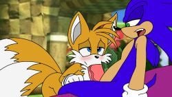 animated blowjob fellatio fox furry gay gif hedgehog male/male male_only sonic_(series) sonic_the_hedgehog sonic_the_hedgehog_(series) spanky15 tails tails_the_fox