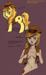 braeburn_(mlp) earth_pony equine female friendship_is_magic fur genderswap horse jobo37 my_little_pony pony pussy tripsocho