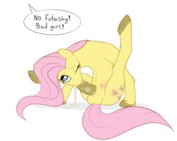 Fluttershy (Mlp) Rule 34 Image