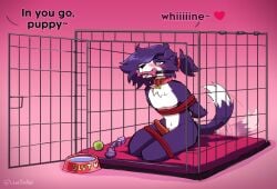 2022 absurd_res accessory animal_genitalia animal_penis anthro ball blush blush_lines bodily_fluids bondage bone_gag border_collie bound bowl cage canid canine canine_genitalia canine_penis canis chest_tuft collar collar_only collar_tag collie container dialogue dipstick_tail dog_(somesacredbird) dog_toy domestic_dog duo english_description english_text erection fluffy fluffy_hair fur gag gagged genital_fluids genitals green_eyes hair hair_accessory hair_tie hands_behind_back heart_eyes heart_symbol herding_dog hi_res kneeling knot knotted_penis leaking_precum legs_tied looking_at_another looking_at_partner male mammal markings nonbinary_(lore) nude offscreen_character offscreen_dominant pastoral_dog penis pet_bed pet_bowl petplay precum puppyplay purple_body purple_fur purple_hair restraints roleplay rope rope_bondage sheepdog submissive submissive_anthro submissive_male tail tail_markings tail_motion tailwag tennis_ball text thatbirdboi tied_hair tuft white_tail_tip