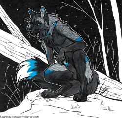 animal_genitalia anthro arm_tuft balls black_balls black_body black_fur black_nose black_sheath blue_eyes blue_markings canid canine cheek_tuft chest_tuft crouching facial_tuft fangs fur genitals grey_body grey_fur heatherwolf humanoid_genitalia humanoid_penis log looking_at_viewer male male_anthro mammal markings mouth_closed night nude outside penis penis_tip rayting sheath shoulder_tuft solo star teeth text tuft url whiskers wood