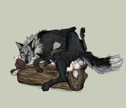 animal_genitalia animal_penis balls bite black_body black_claws black_pawpads blue_eyes bodily_fluids brown_body canid canine canine_genitalia canine_penis canis chest_tuft claws cloven_hooves cunnilingus deer deer_ears deer_spots dewclaw dewclaw_hooves dipstick_tail dripping duo female feral feral_on_feral fur genital_fluids genitals grey_hair hair hi_res hooves jeffusherb knot knotting looking_pleasured lying male male/female mammal mane mane_hair markings multicolored_body nature nature_background neck_bite neck_tuft new_world_deer nightdancer_(character) on_back oral parfait_(nightdancer) pawpads penetration penile penile_penetration penis penis_in_vagina pink_nose predator/prey pussy sex side_view sketch_page spots spotted_body spotted_fur tail tail_markings tuft two_tone_body underhoof vaginal_fluids vaginal_knotting vaginal_penetration whiskers white-tailed_deer wolf