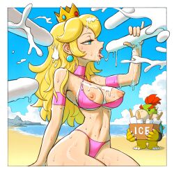 bowser jr. from mario (series)