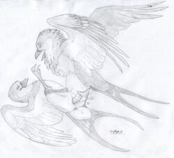 2012 anus avian bird closed_eyes cum cum_in_pussy cum_inside feral feral_on_feral on_back penetration penis pussy sketch spread_legs spreading swallow_(bird) vaginal_penetration windpaw wings