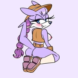 Sonic (Series) Rule 34 Image