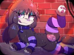 furfrou from nintendo by lodetail