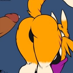 apple_butt ass bent_over big_ass canine color dark-skinned_male dat_ass digimon female fox furry galmario_grantaruda51 penis precum renamon tail