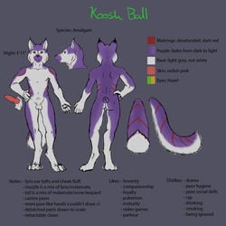 1boy anthro ass balls canine color english_text erection feline flaccid furry knot koosh koosh-ball lynx malamute male male_only model_sheet nude penis purple sheath simple_background solo steggy text