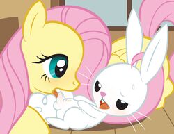 angel_(mlp) equine fellatio female feral fluttershy_(mlp) friendship_is_magic horse lagomorph male my_little_pony oral oral_sex pony rabbit sex smooth_skin tricksta zoophilia