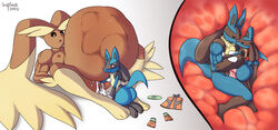 anthro feral fisting furry impious internal lopunny lucario male multiple_males muscular no_humans pokemon pokemon_(species) trainer unbirthing vaginal_penetration vore yaoi