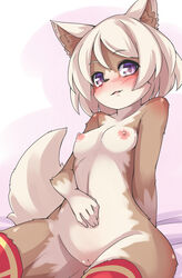 2014 anthro areola black_nose blush breasts canine eyebrows female hair looking_at_viewer mammal nipples nude purple_eyes pussy solo youki029