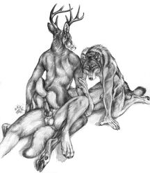 anal anal_sex anthro balls blotch buck canine canine_penis cervine closed_eyes deer fur furry furry_only gay hooves horn knot male penetration penis threesome wolf