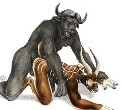 anal anal_sex black blotch bongo bovine buffalo closed_eyes doggy_style from_behind furry hooves horn male mammal penetration water_buffalo yaoi