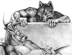 anthro balls blotch buck canine caught cervine deer erection eye_contact fur furry furry_only gay horn imminent_rape licking licking_lips looking_at_another male masturbation penis smile sofa tongue wolf