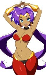 shantae (character) from shantae by revenantart